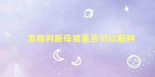 怎样判断母猪是否可以配种