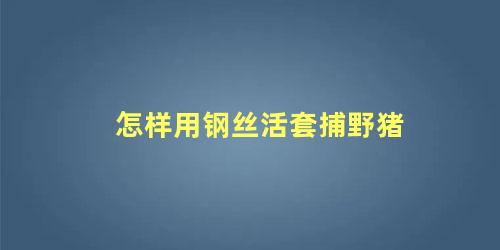 怎样用钢丝活套捕野猪