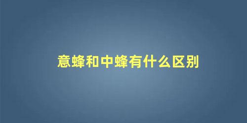 意蜂和中蜂有什么区别