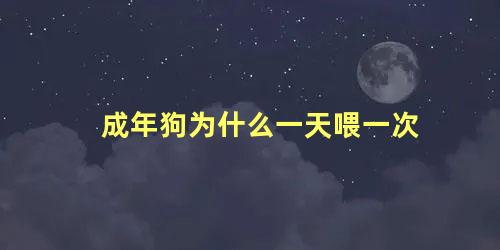 成年狗为什么一天喂一次
