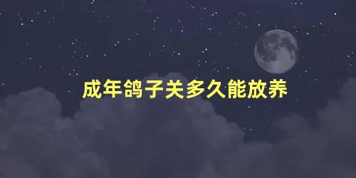 成年鸽子关多久能放养