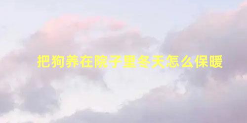 把狗养在院子里冬天怎么保暖