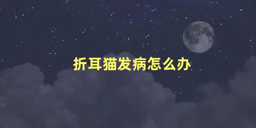 折耳猫发病怎么办