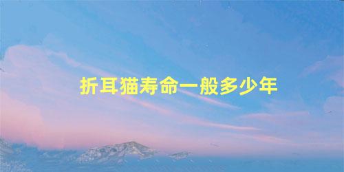 折耳猫寿命一般多少年