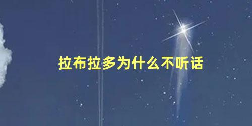 拉布拉多为什么不听话