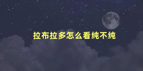 拉布拉多怎么看纯不纯