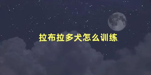 拉布拉多犬怎么训练
