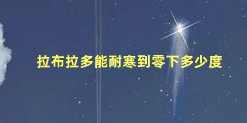 拉布拉多能耐寒到零下多少度
