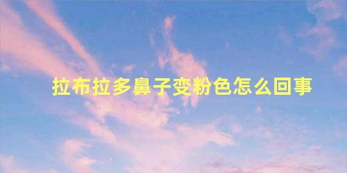 拉布拉多鼻子变粉色怎么回事