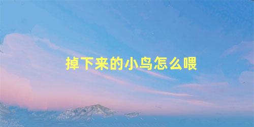 掉下来的小鸟怎么喂