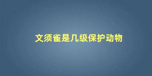 文须雀是几级保护动物