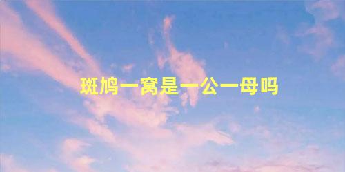 斑鸠一窝是一公一母吗