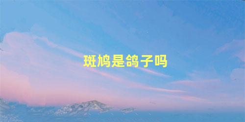 斑鸠是鸽子吗