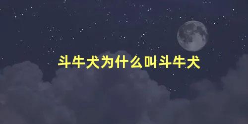 斗牛犬为什么叫斗牛犬