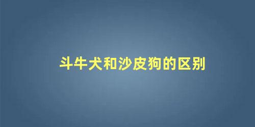 斗牛犬和沙皮狗的区别