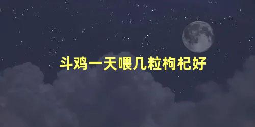 斗鸡一天喂几粒枸杞好