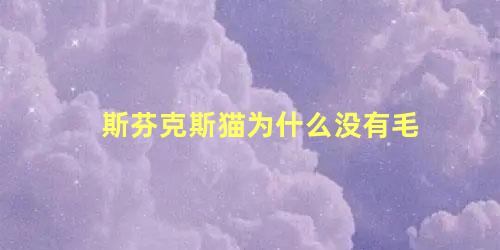 斯芬克斯猫为什么没有毛