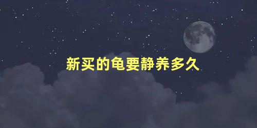 新买的龟要静养多久
