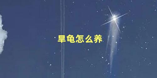 旱龟怎么养