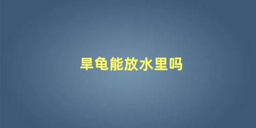 旱龟能放水里吗