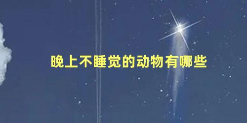 晚上不睡觉的动物有哪些