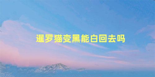 暹罗猫变黑能白回去吗