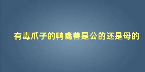 有毒爪子的鸭嘴兽是公的还是母的