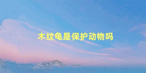 木纹龟是保护动物吗