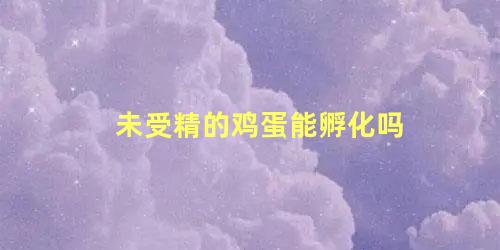 未受精的鸡蛋能孵化吗