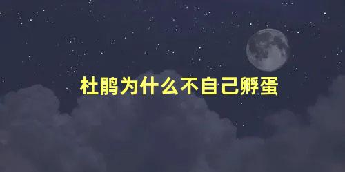 杜鹃为什么不自己孵蛋