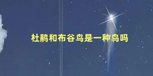 杜鹃和布谷鸟是一种鸟吗