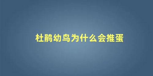 杜鹃幼鸟为什么会推蛋