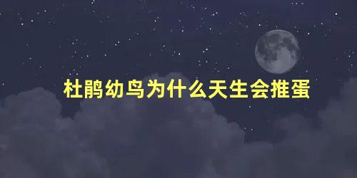 杜鹃幼鸟为什么天生会推蛋