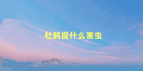 杜鹃捉什么害虫