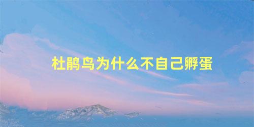 杜鹃鸟为什么不自己孵蛋