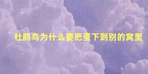 杜鹃鸟为什么要把蛋下到别的窝里