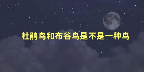 杜鹃鸟和布谷鸟是不是一种鸟