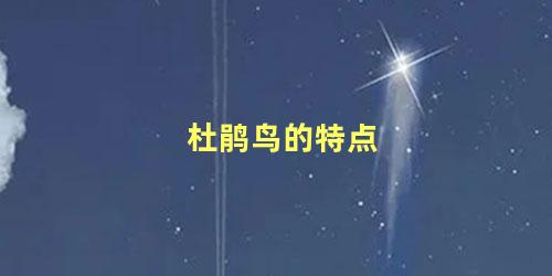 杜鹃鸟的特点