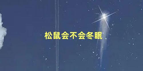 松鼠会不会冬眠