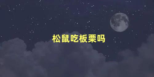松鼠吃板栗吗
