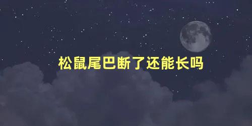 松鼠尾巴断了还能长吗