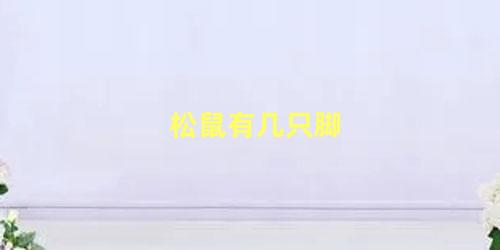 松鼠有几只脚