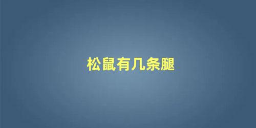 松鼠有几条腿