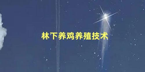 林下养鸡养殖技术