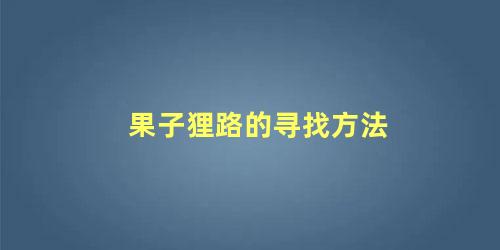 果子狸路的寻找方法