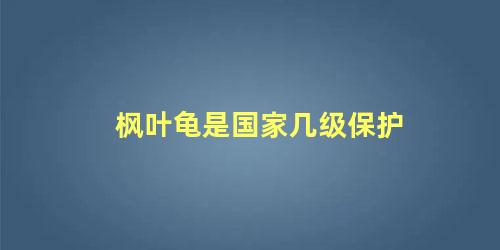 枫叶龟是国家几级保护