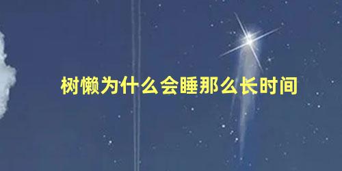 树懒为什么会睡那么长时间