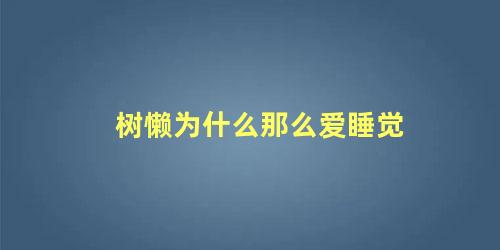 树懒为什么那么爱睡觉
