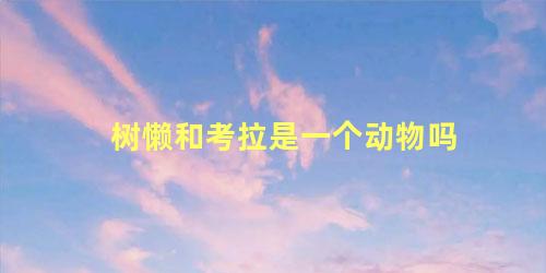 树懒和考拉是一个动物吗