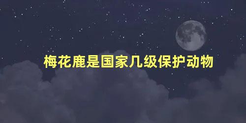 梅花鹿是国家几级保护动物
